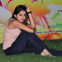 Sheena Shahabadi at Nuvve Naa Bangaram First Look Release Photos | Picture 599572